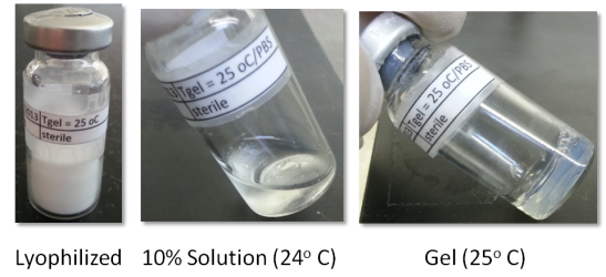 poly(2-3)Glucose phase transitions