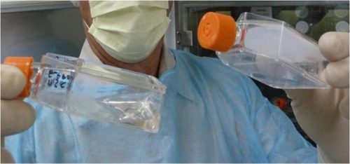 Stem cells cultured on T1-30