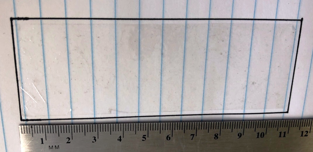 Free standing semi-permeable membrane